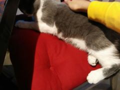 -MIKAKU(万达广场上海宝山店)