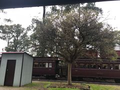 -普芬比利蒸汽火车