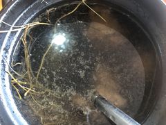 -张家卫·阳江菜·小海鲜(肥婆湾桥店)