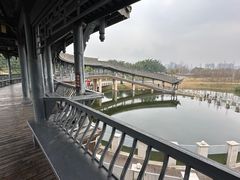 -眉山湿地公园(东坡区)