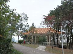 -紫马岭公园
