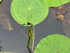 -白塘生态植物园