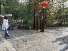 -苏州太湖国家湿地公园