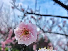 景点-上海海湾国家森林公园