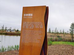 -上海新江南大酒店-中餐厅