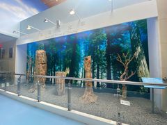 -延庆地质公园博物馆