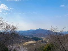 -日光山谷营地乐园