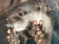 -杭州野生动物世界