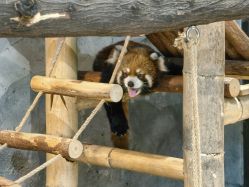 -Zoolung Zoolung动物主题公园(海信广场店)