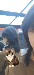 -和良形象