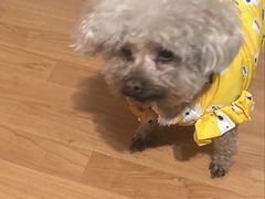 -乐宠宠物店(世纪金源店)