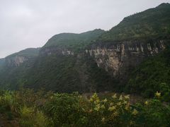 -武陵山森林公园