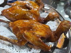 -石岐乳鸽村(南海第三分店)
