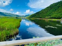 -腾冲北海湿地