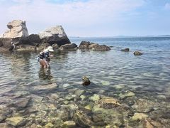 -养马岛旅游度假区