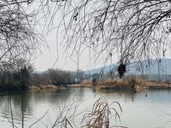 -长兴太湖图影湿地文化园