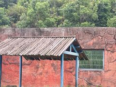 -无锡动物园·太湖欢乐园
