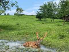 -良渚古城遗址公园