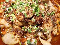 -向川南·水煮鱼·川菜(和平里店)