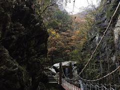 -牛背梁国家森林公园