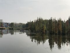 -白鹭湾湿地公园