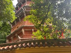 -宝通禅寺