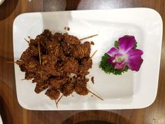 -中发源·清真餐厅(春风店)