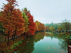 -灵谷景区