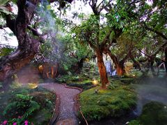 -Chom Cafe and Restaurant