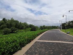 -深圳湾公园(南山区)