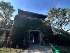 -原山国家森林公园