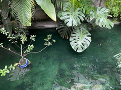 -漫笙舍Manse·咖啡·民宿