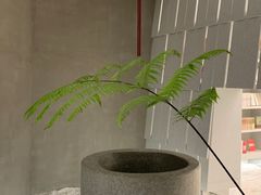 -二酉书店TOYOU BOOKS