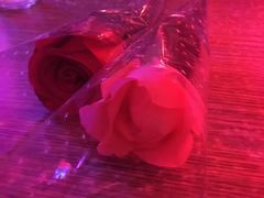 -摆渡酒吧(后海店)