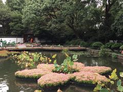 -郭庄茶室