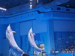 -石家庄市动物园