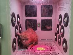 -沐沐家宠物(成寿寺店)