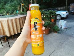 -国生茶庄·地道农家菜团建活动