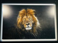 -罗红摄影艺术馆