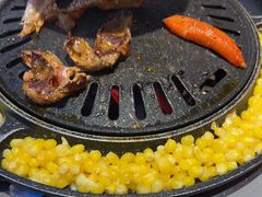 -外婆掌柜·东北家庭烤肉(托乐嘉店)