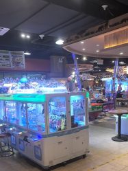 -卡通尼·Safari非洲探索乐园·生日会(金桥国际商业广场店)