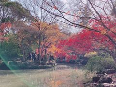 -秋霞圃