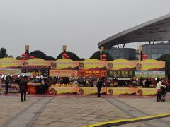 -重庆国际马戏城