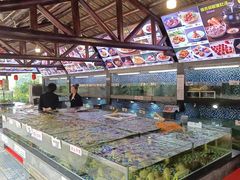 -顺德了能馆(虎门店)