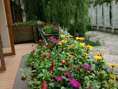 android_upload_pic-黔蘑菇四季餐厅(观山湖店)