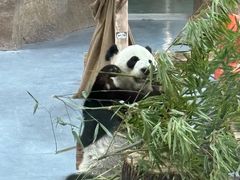 -无锡动物园·太湖欢乐园