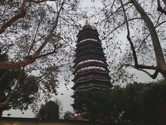 -红梅公园