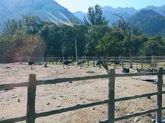 -西安秦岭野生动物园