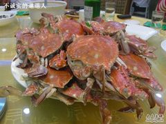 梭子蟹-海岛渔村大酒店(云霄路店)