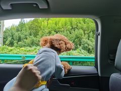 -安吉龙王山峡谷漂流